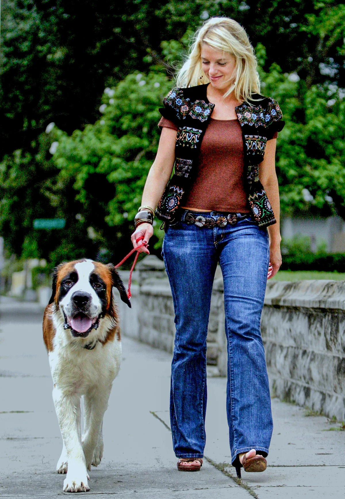 Pam Bondi Is Not Practicing Law - 1