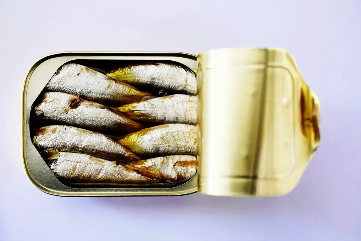 What happens if you only eat tinned fish for three days: fans of the 'sardine fast' claim it's a shortcut to weight loss... but are they right? - 4