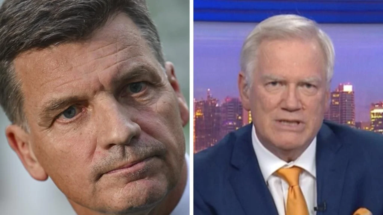 Australia news live: Angus Taylor names Tim Wilson shadow treasurer as new shadow ministry revealed - 1