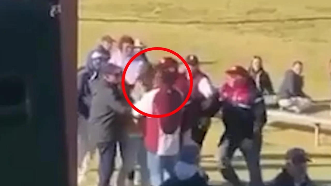 Former NRL star caught in ugly altercation with a fan because he feared for his young daughter's safety - 3