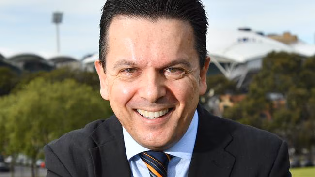 From roommates to rivals: how Matt Canavan’s history with Barnaby Joyce could help him defeat One Nation - 1