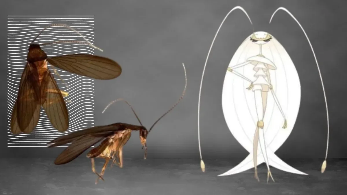 Philippines' 'Cockroach Lord' goes to bat for misunderstood bugs - 4