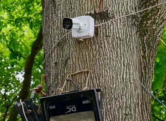 Kerala deploys AI surveillance for polls; real-time alerts track queues, crowd at booths - 1