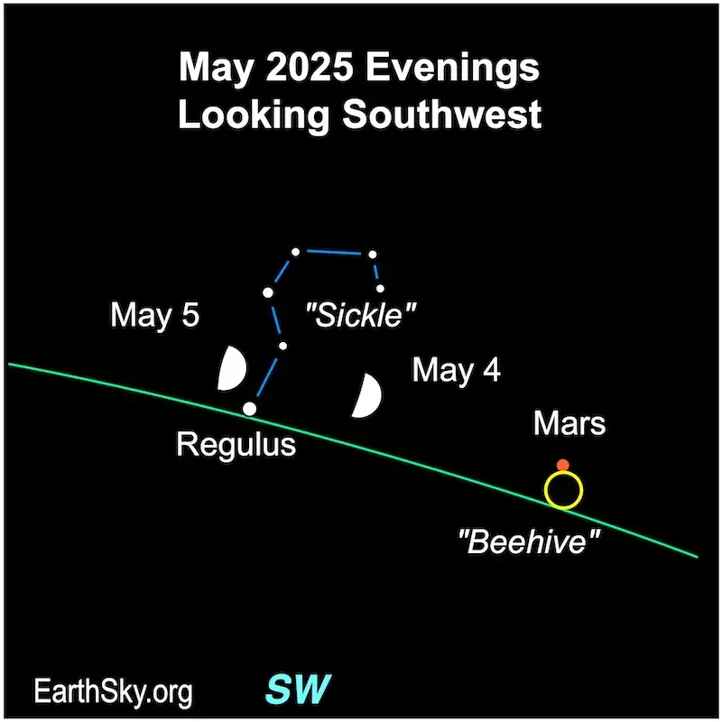 Starwatch: patience is needed to observe Cancer’s beehive cluster - 1