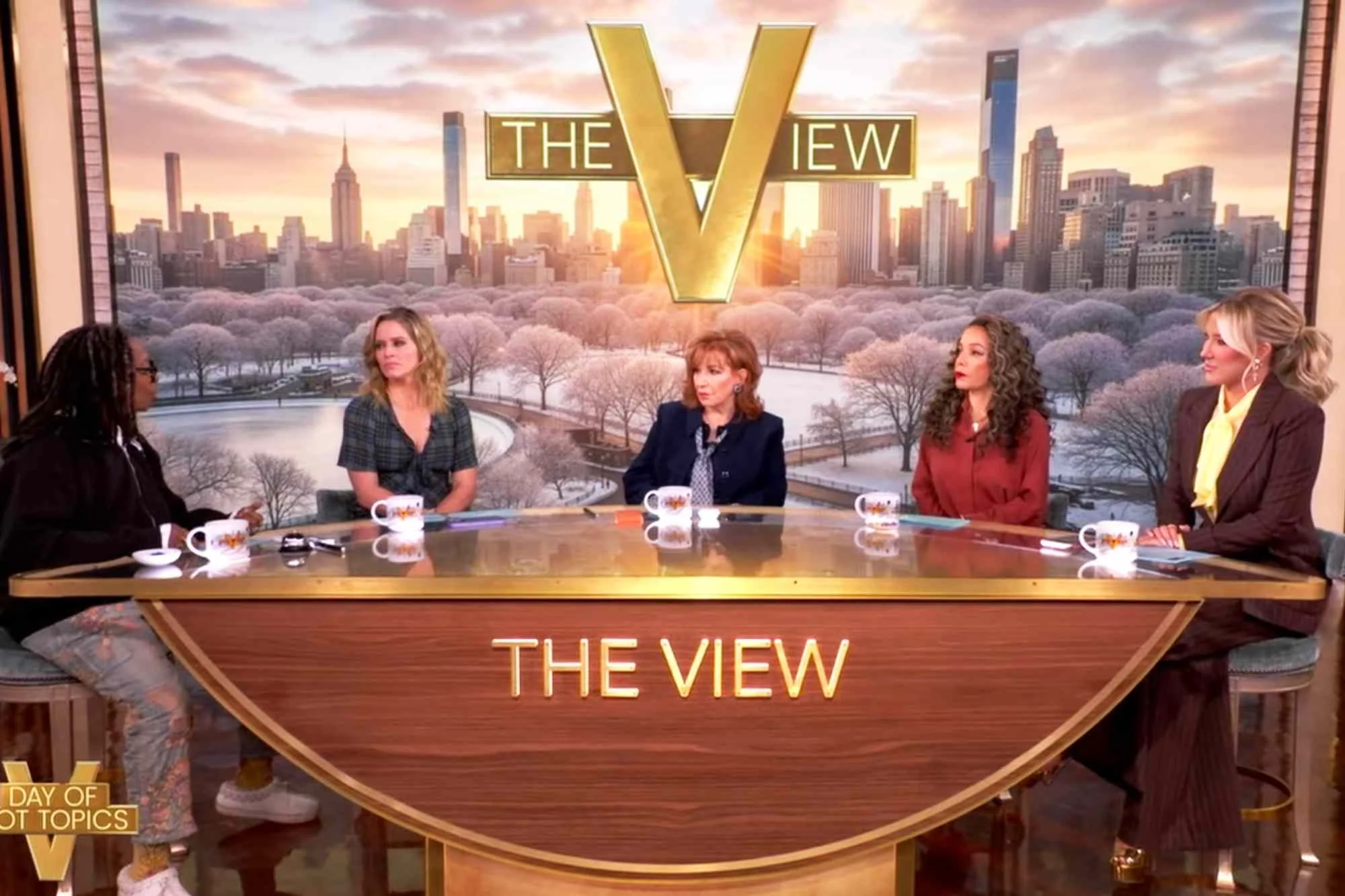 Whoopi Goldberg Denies Dating Epstein, Says They Were Never Friends Despite Name Mention in Files - 3