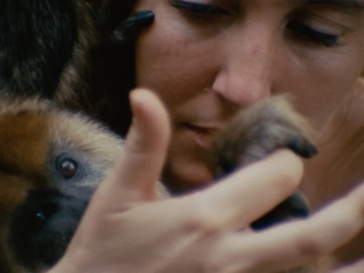 Collective Monologue review – sensuous zoo study foregrounds contacts between keepers and creatures - 3