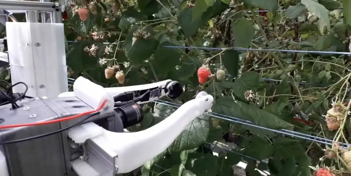 ITV star with meningitis supported by fans as partner releases emotional statement - 1