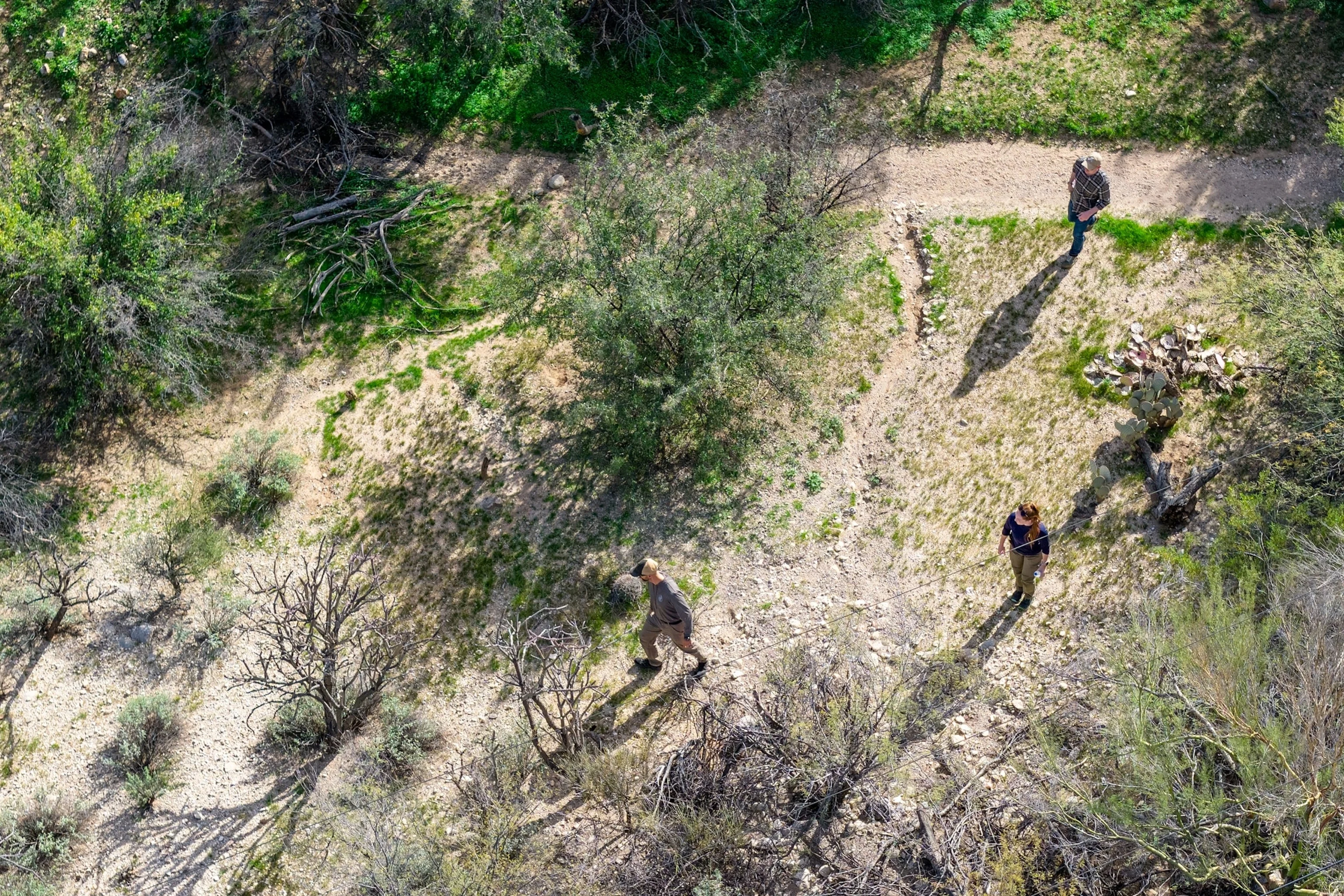 Guthrie Case Update: Trump Weighs in As Sheriff Nanos Disputes Reports of Major Friction With FBI - 3