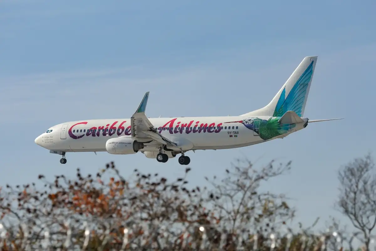 Passenger gives birth during flight from Jamaica to New York - 2