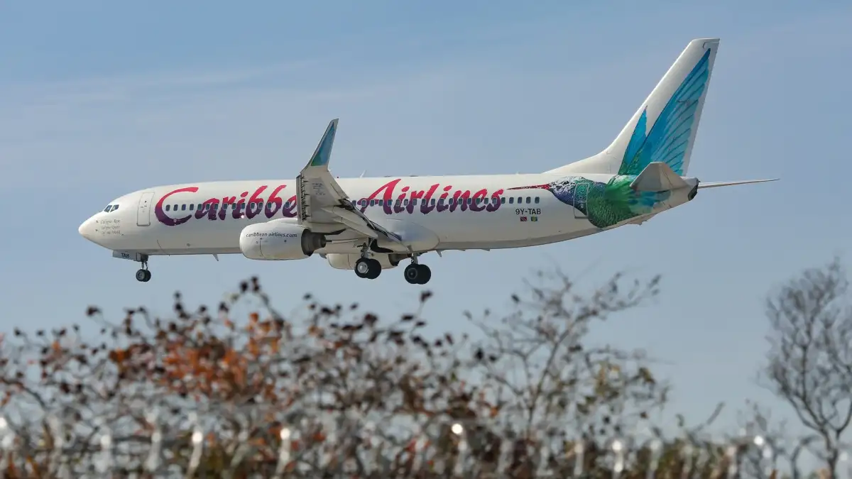 Passenger gives birth during flight from Jamaica to New York - 3