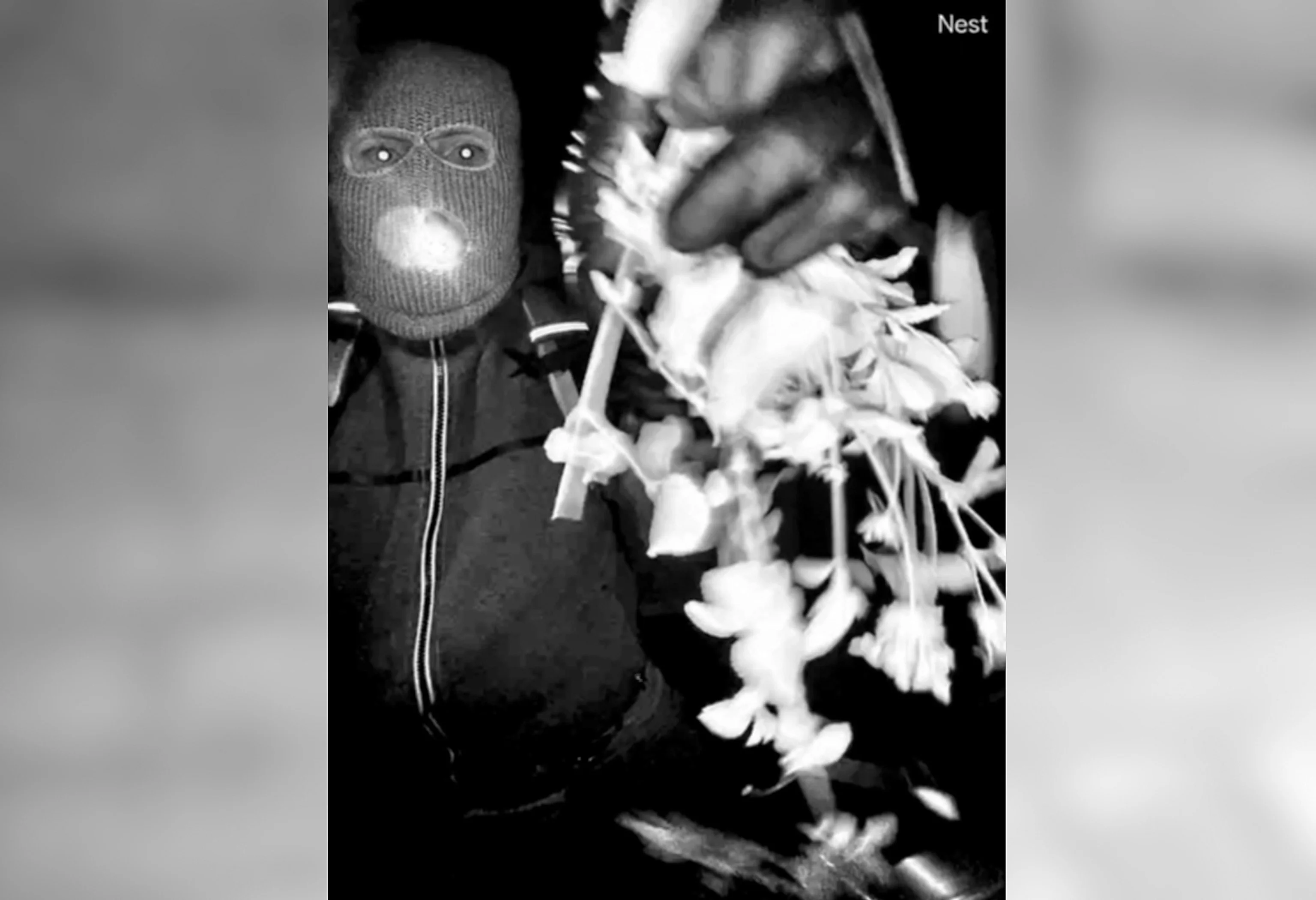 Nancy Guthrie Update: 10 Photos of Kayla Day As Police Probe Dark New Leads In Arizona Abduction Case - 3