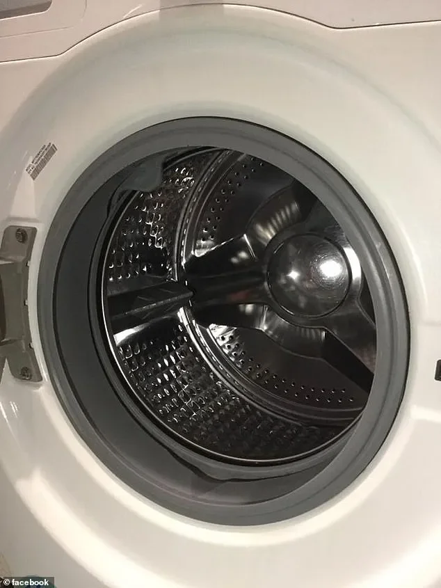 You're doing your laundry wrong! Experts reveal why you should NEVER close the washing machine door after a wash - 1