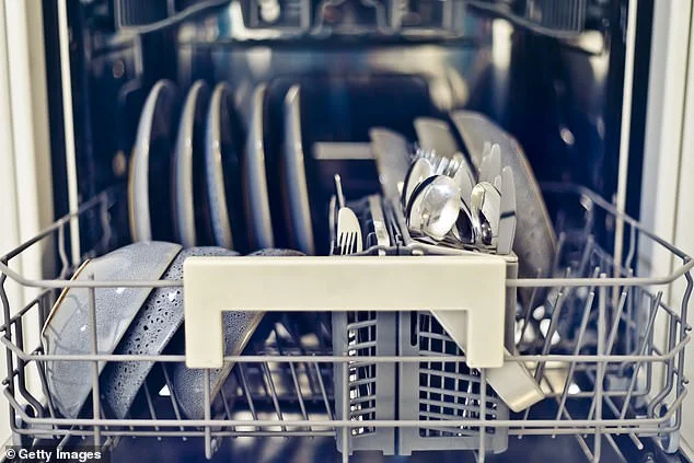 Common dishwasher mistake Aussies make that leads to still dirty plates - 4