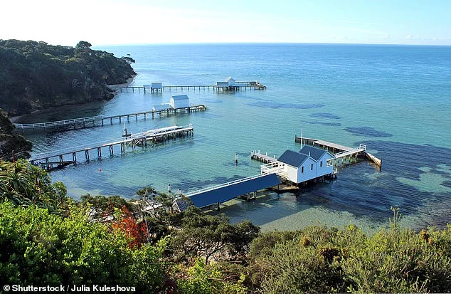 ‘Surprised and disappointed’: Champion jockey sanctioned for breach in $2 million triumph - 3