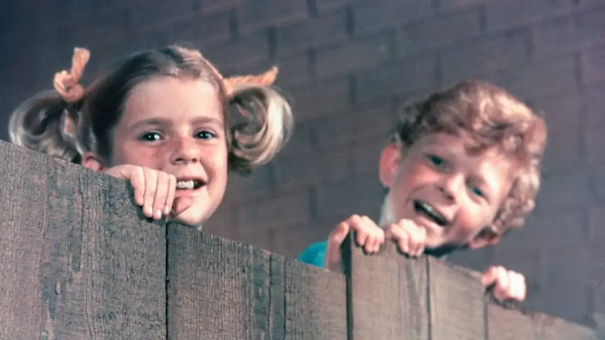 Family Affair child star Johnny Whitaker who acted with Jodie Foster then flamed out on drugs resurfaces at 66... see him now - 3