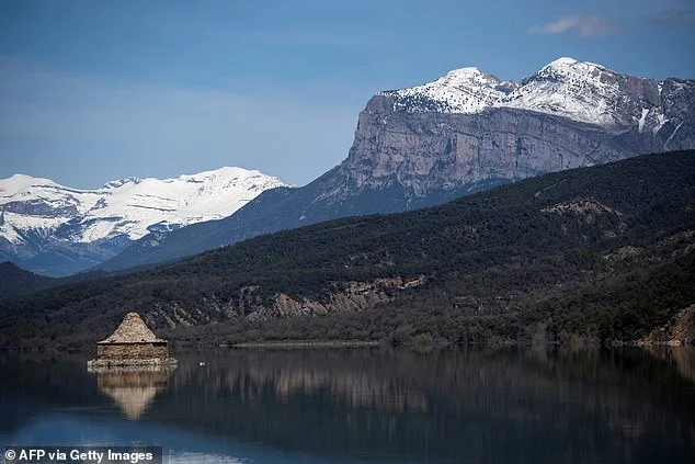 British pensioner, 76, who went missing during hike in Tenerife is found alive in ravine after 30 hours and is airlifted to hospital - 4