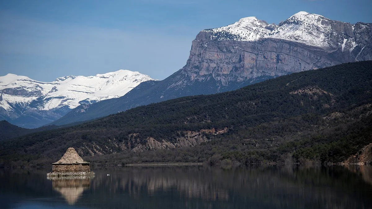 British pensioner, 76, who went missing during hike in Tenerife is found alive in ravine after 30 hours and is airlifted to hospital - 3