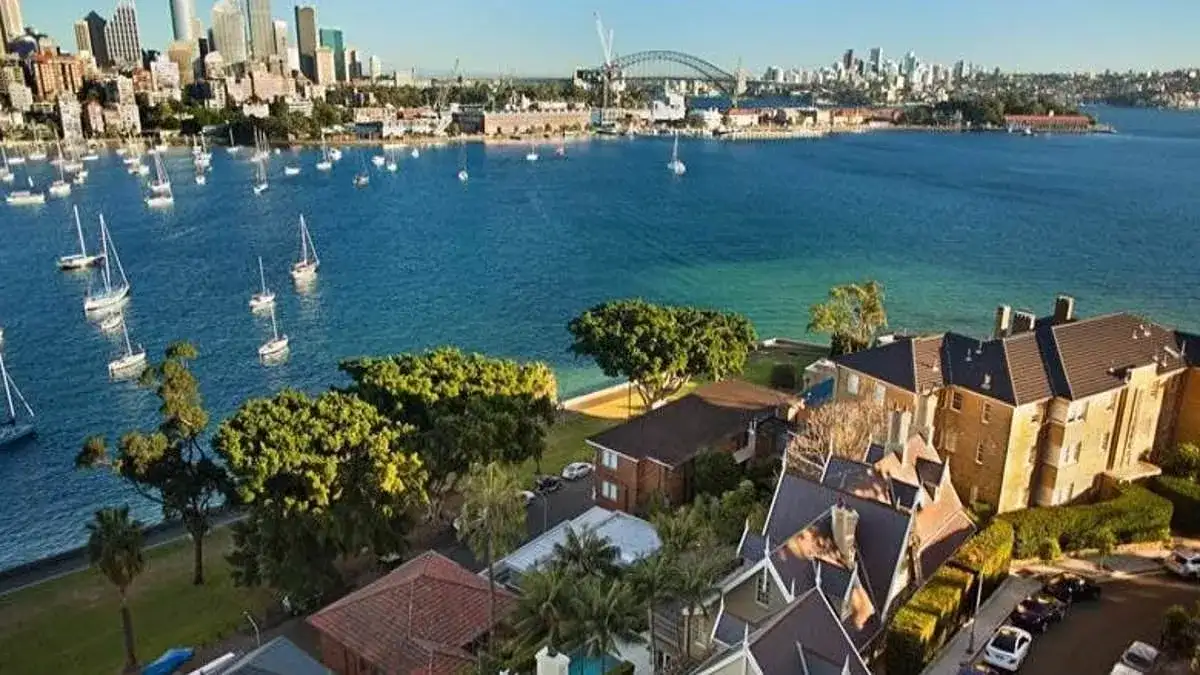 Wild legal battle breaks out over a tree in one of Australia's wealthiest suburbs as couple fight to save their $3million home from damage - 2