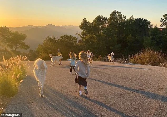 Jonathan Rhys Meyers on ‘cathartic’ loss of home during California wildfires - 2