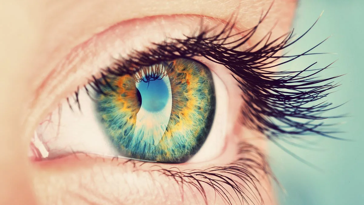 The signs a blemish or freckle in your eye has turned cancerous like Emily's. Cases have soared a shocking 30 per cent. Now doctors reveal the warning signs everyone must know - 1