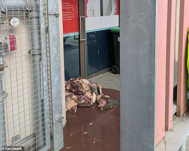 Breaking: Fisherman mounts rooftop protest over WA demersal fishing bans - 1