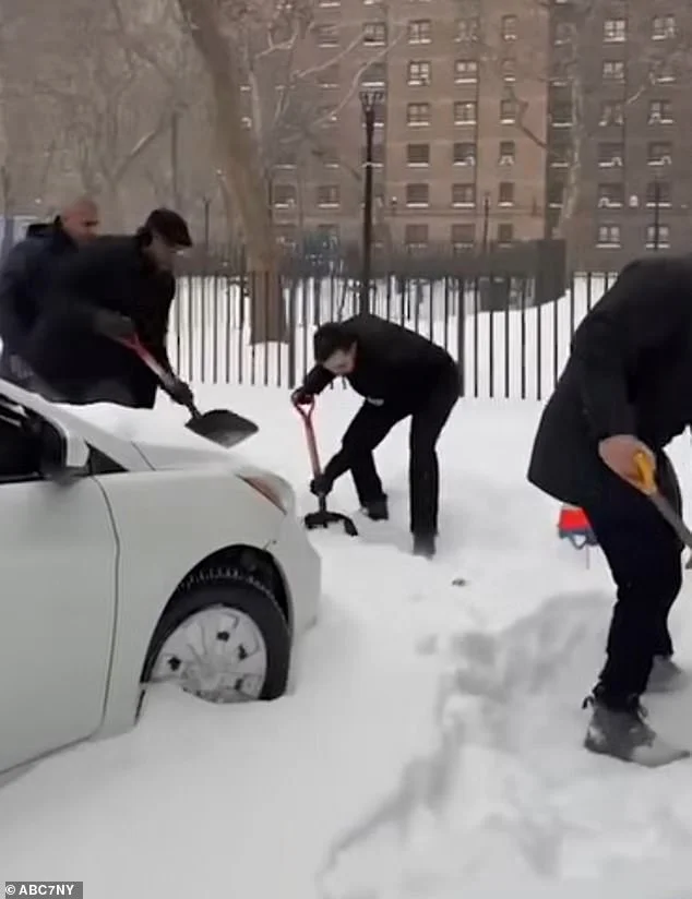 NYC Mayor Mamdani's Excuse for 'Photo ID to Shovel Snow' Hypocrisy Is OFF THE CHARTS Hilarious - 4