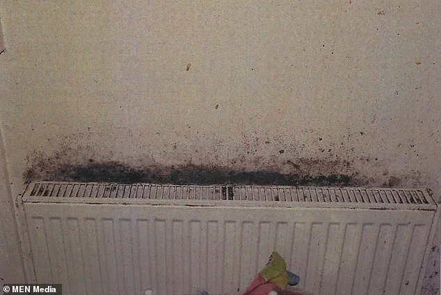 The locations in your home riddled with toxic mould - as new study confirms exposure as a child can cause serious lung issues all the way into adulthood - 3