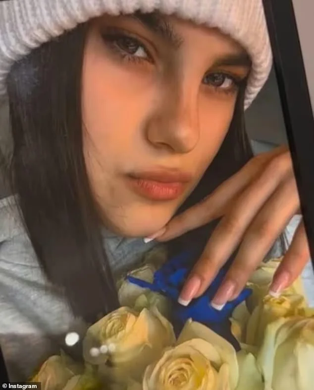 Sudanese migrant drank beer then pulled woman, 18, in front of train that killed them both on Hamburg rail line - 3