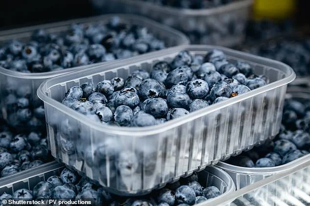 Blueberries unpicked: The tiny superfruit that can make a BIG impact on your gut, brain and heart health - 2