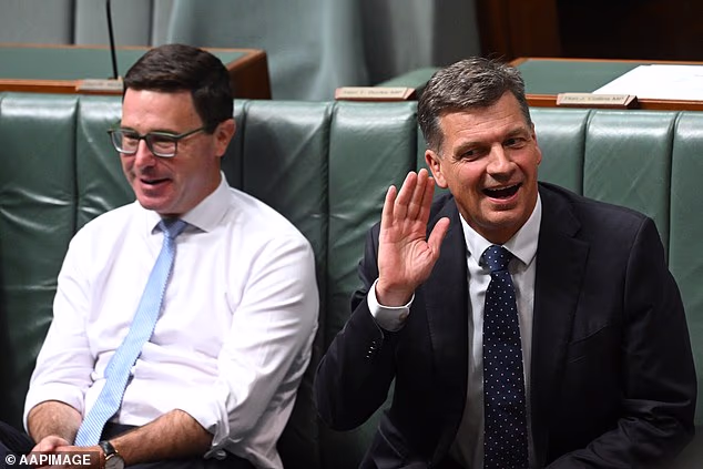 A ‘desiccated coconut’ and a ‘grub’: Angus Taylor has copped some insults – but he’s in good company - 3