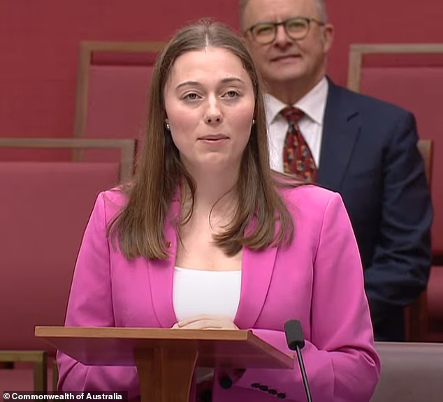 A ‘desiccated coconut’ and a ‘grub’: Angus Taylor has copped some insults – but he’s in good company - 1