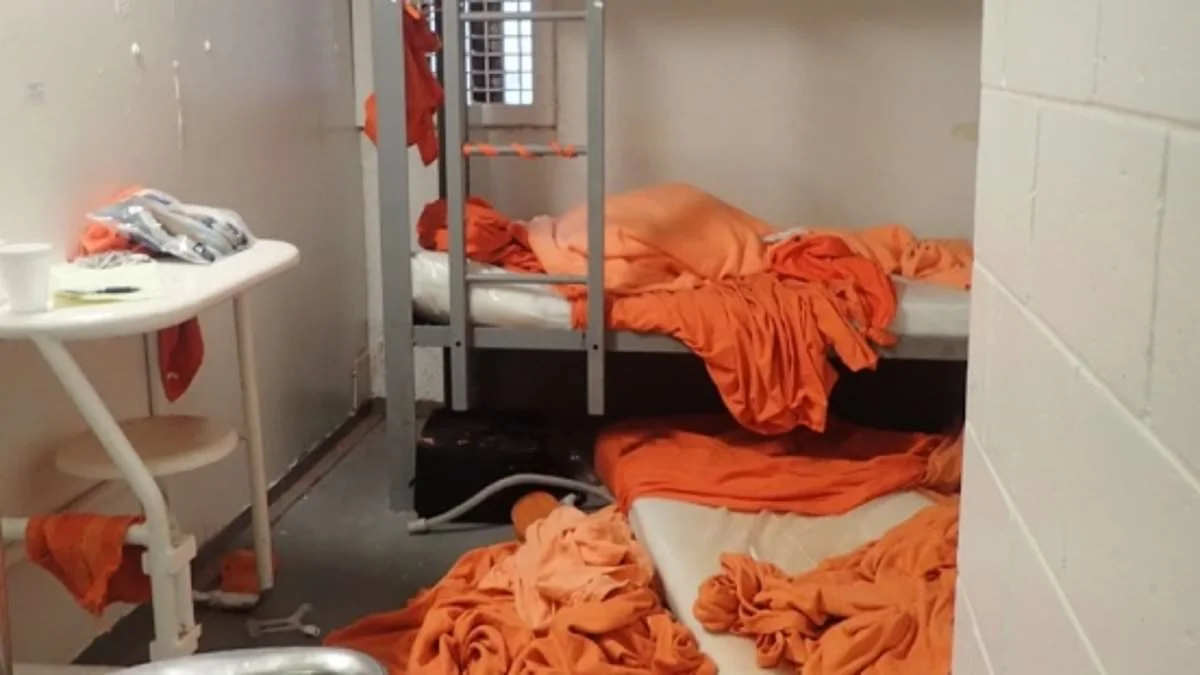 Jeffrey Epstein Death Mystery: Doctor Challenges Hanging Verdict After Seven Years - 3