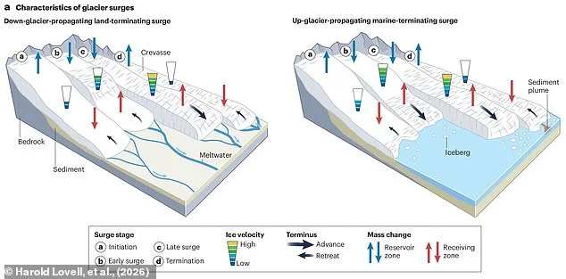 Scientists are baffled to discover 3,100 glaciers SURGING - as they warn it could be even more 'troublesome' than glacial retreat - 3