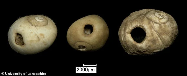 Britain's 'oldest Northerner' was a little girl! Reanalysis of 11,000-year-old remains confirms they belong to a three-year-old dubbed the 'Ossick Lass' - and not a man - 4