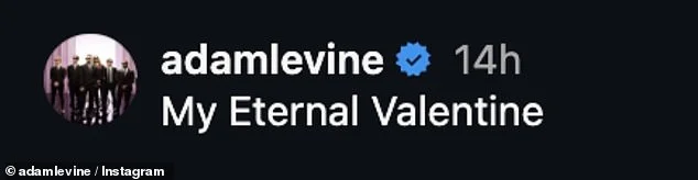 Adam Levine's wife Behati Prinsloo declares they are 'forever and ever' in gushing Valentine's Day tribute three years after his 'sexting' scandal - 3