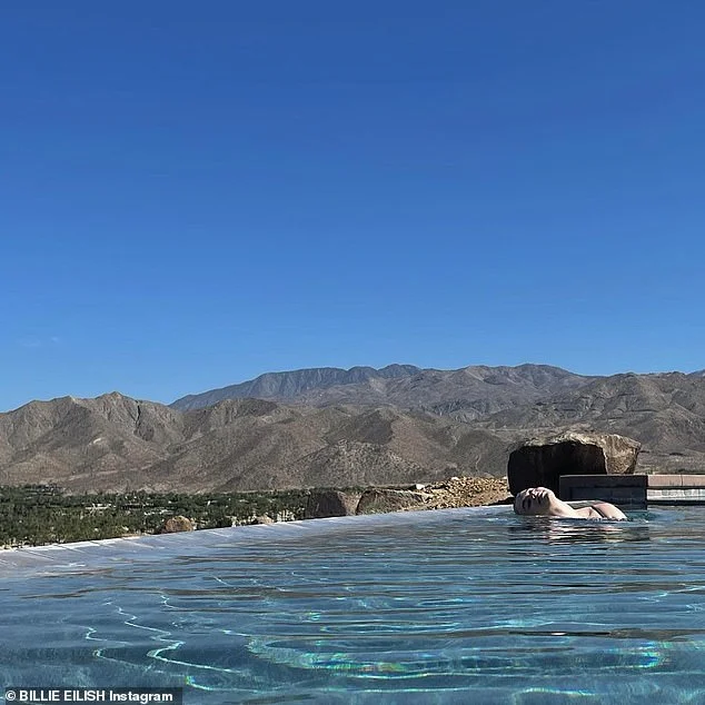 Man Deported From The US After 'Sh*tposting' About Moving Into Billie Eilish's Mansion Claims He Was 'Joking' - 1