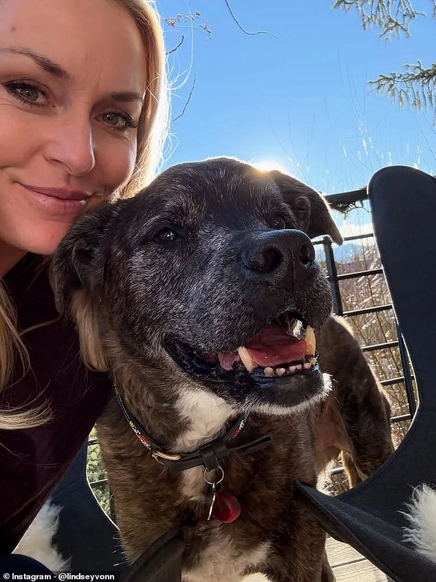 Lindsey Vonn shares nervous post as she awaits fifth surgery on broken leg after Olympic fall and dog's death - 1