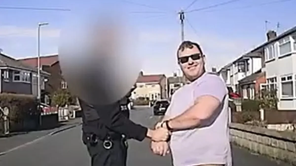 How moss could help roads cope with heavy rain and reduce air pollution - 4