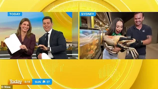 Wild moment Today show presenter is attacked by a giant crab live on-air: 'I am going to hospital' - 1