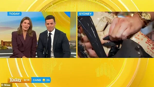 Wild moment Today show presenter is attacked by a giant crab live on-air: 'I am going to hospital' - 2