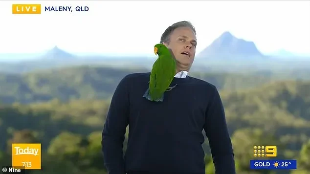 Wild moment Today show presenter is attacked by a giant crab live on-air: 'I am going to hospital' - 4