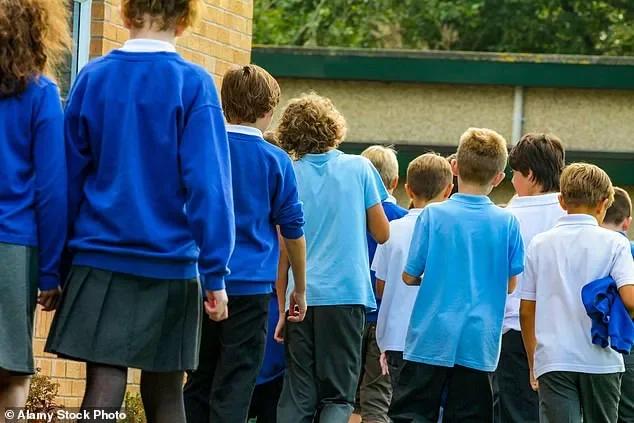 Young boys 'have a lack of role models' as report urges men to 'step up' for their community as family units break down - 1