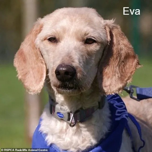 Major reaction to news of Iran ceasefire - 1