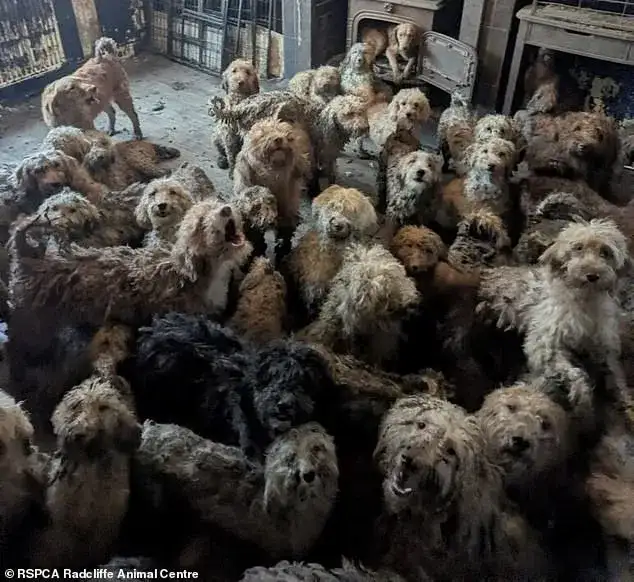 Major reaction to news of Iran ceasefire - 3