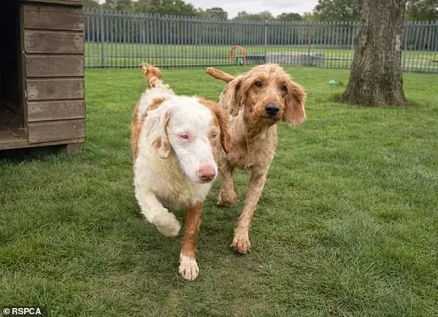 Major reaction to news of Iran ceasefire - 4