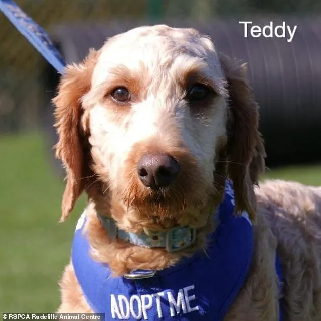 Major reaction to news of Iran ceasefire - 2