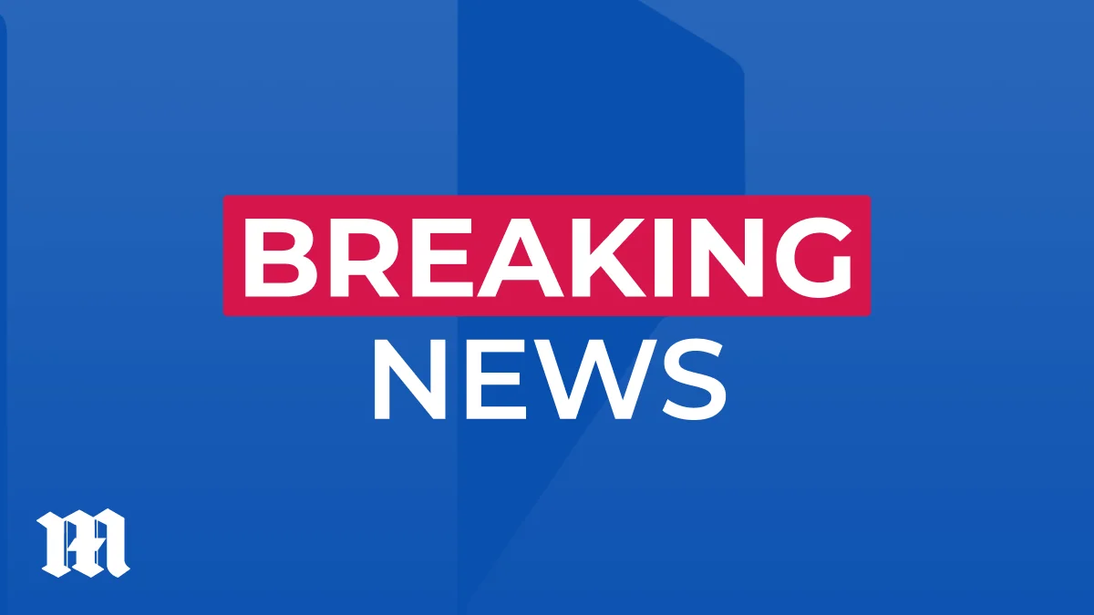 Liberals say Ley’s concessions to reunite Coalition may have tipped MPs into Taylor’s camp ahead of expected spill - 1