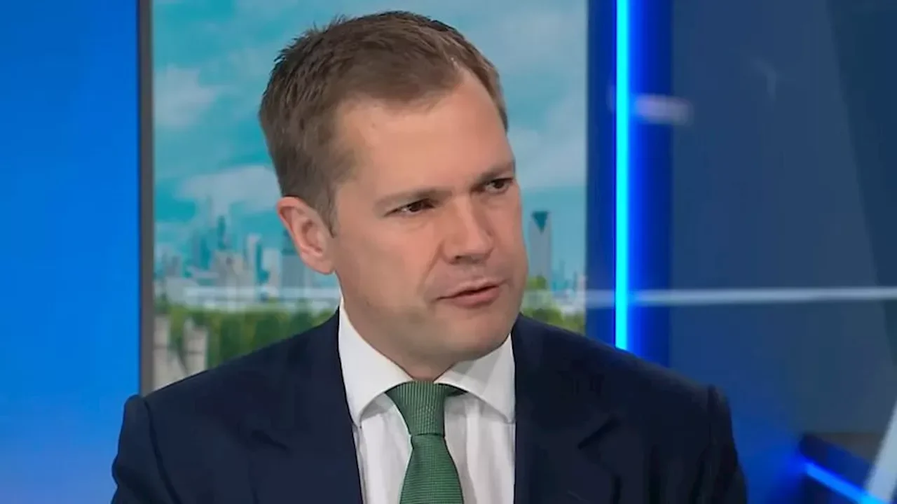 The bank holiday traveller invasion: How families carry out brazen 'landgrabs' to build caravan camps under the noses of council chiefs while offices are closed - 3