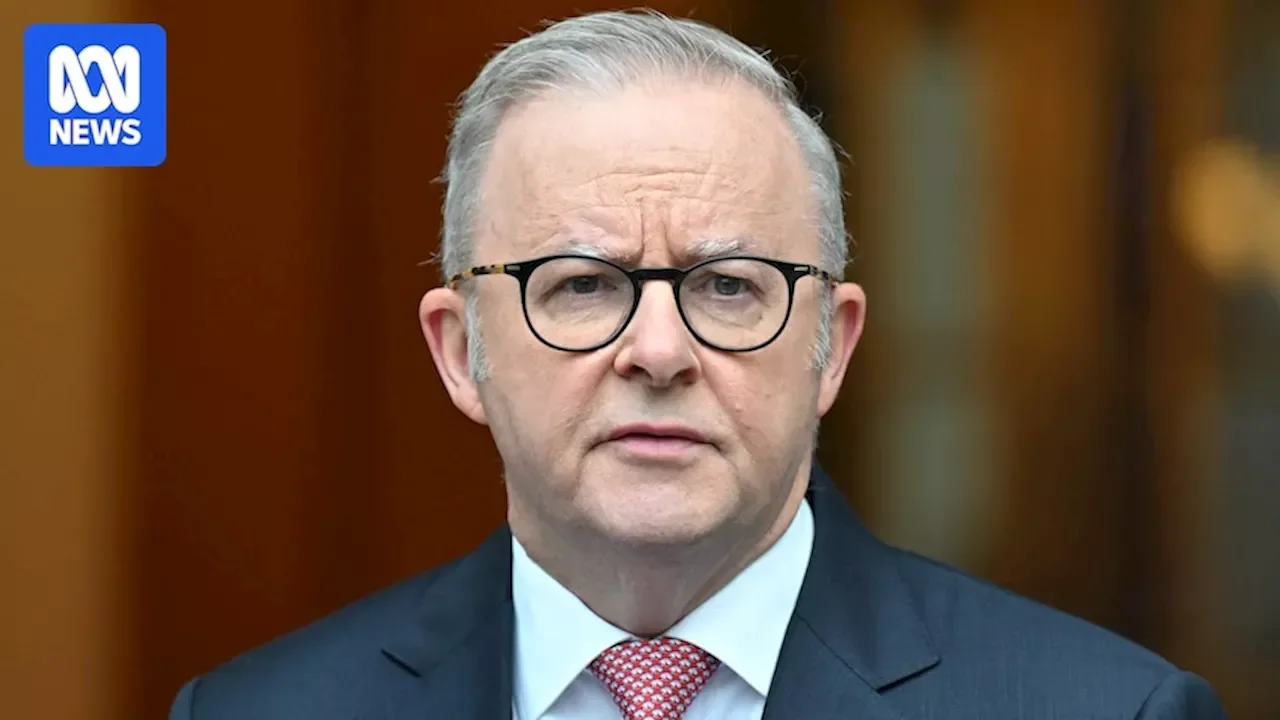 Politics LIVE updates: Parliament returns with Albanese government under pressure due to fuel crisis - 2