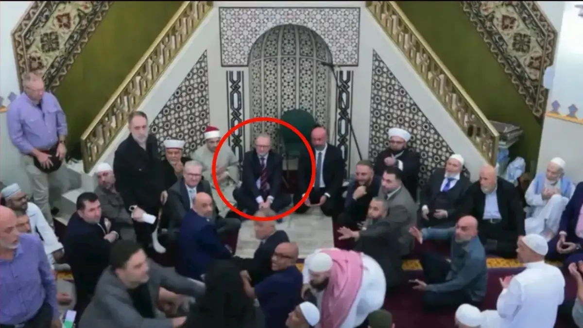 Politics LIVE updates: Parliament returns with Albanese government under pressure due to fuel crisis - 1